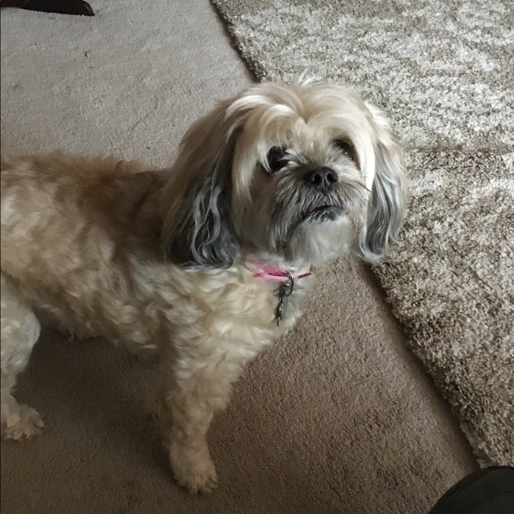 Meet your Posher, Cindy